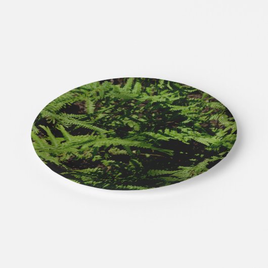 Forest Floor Ferns Pappteller (Schrägansicht)