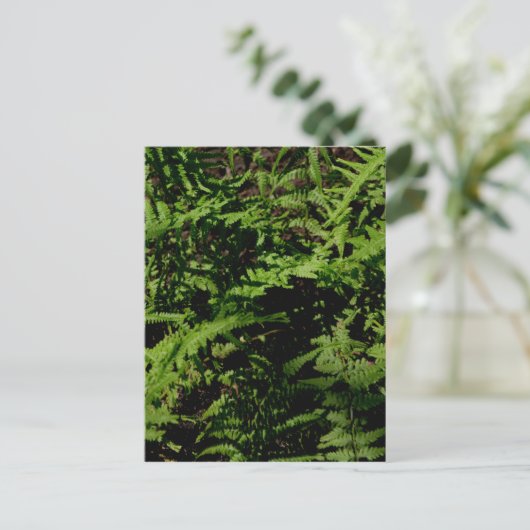 Forest Floor Ferns Postkarte (Stehend Vorderseite)