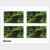 Forest Floor Ferns Rechteckiger Aufkleber (Blatt)