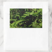 Forest Floor Ferns Rechteckiger Aufkleber (Tasche)