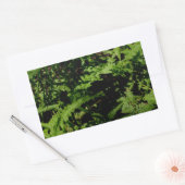 Forest Floor Ferns Rechteckiger Aufkleber (Umschlag)