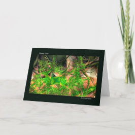 Forest Floor Fraktal Art Notecards Karte