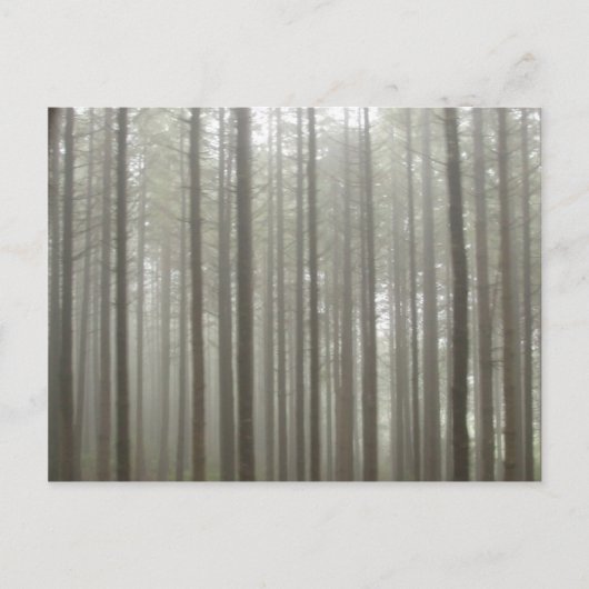 Forest Forest Postcard Postkarte (Vorderseite)