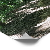 Forest Foto Poster (Ecke)