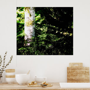 Forest Glow Poster Print