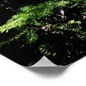 Forest Glow Poster Print (Ecke)