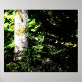 Forest Glow Poster Print (Vorne)