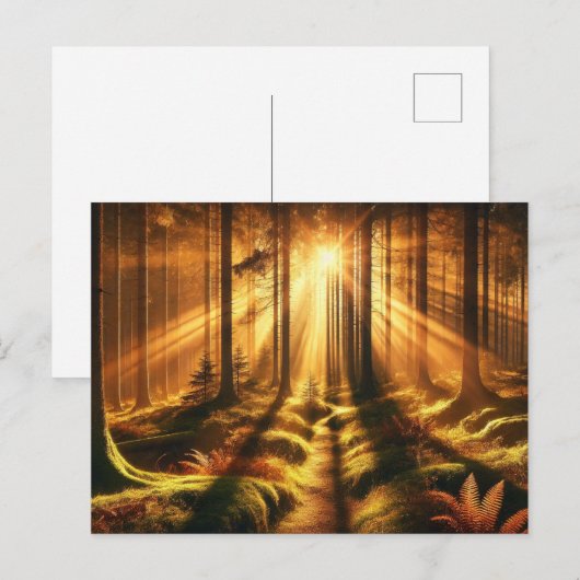 Forest Glow - Postkarte (Vorne/Hinten)