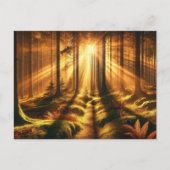 Forest Glow - Postkarte (Vorderseite)