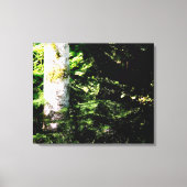Forest Glow Stretch Canvas Print Leinwanddruck (Vorderseite)