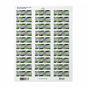 Forest Green Modern Retro Streifen mit Monogramm (Vorne)