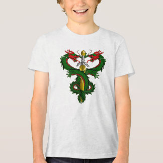 Forest Guardian Dragon Blade Tri-Blend Shirt