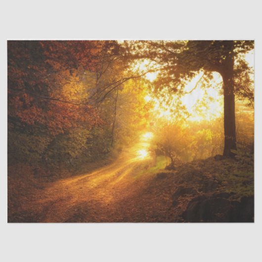 Forest Herbst 11 Dekoupage Tissue Paper Seidenpapier (Vorderseite)