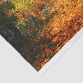 Forest Herbst 12 Dekoupage Tissue Paper Seidenpapier (Ausschnitt)