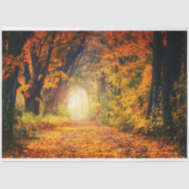 Forest Herbst 12 Dekoupage Tissue Paper Seidenpapier