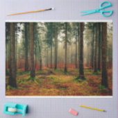 Forest Herbst 16 Dekoupage Tissue Paper Seidenpapier (Basteln)