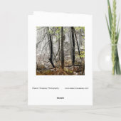 "Forest in Fog" - Digital transformierter Wald Karte (Rückseite)