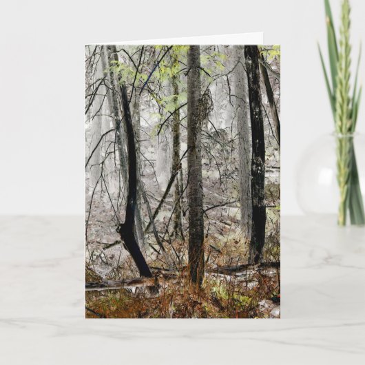 "Forest in Fog" - Digital transformierter Wald Karte (Vorderseite)