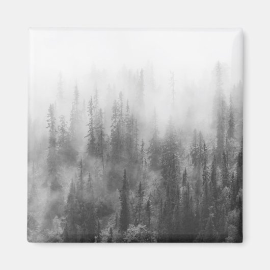 Forest in Fog Magnet (Vorne)