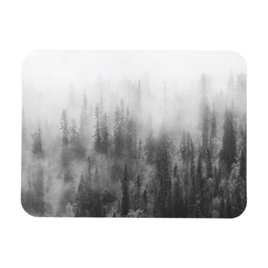 Forest in Fog Magnet (Horizontal)