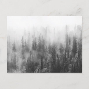 Forest in Fog Postkarte