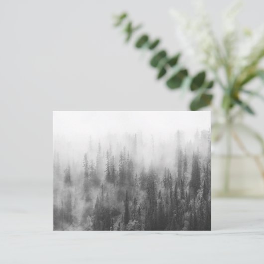 Forest in Fog Postkarte (Stehend Vorderseite)
