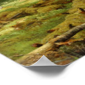 Forest Ivan Shishkin Poster (Ecke)