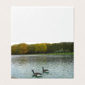 Forest Lake.ducks. (Außenseite Aufgefaltet)