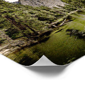 Forest Lake Poster (Ecke)