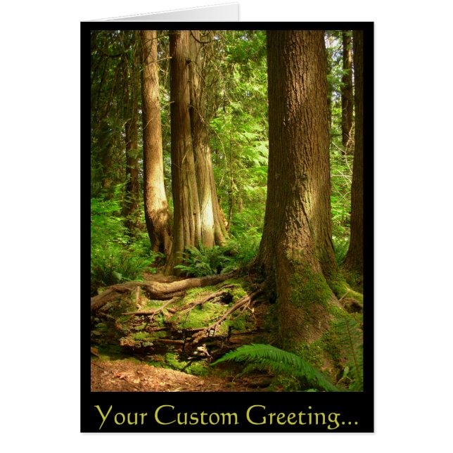 Forest Landscape Blank Card Schöne Druckkarten (Vorne)