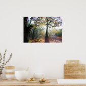 Forest Light Poster (Küche)