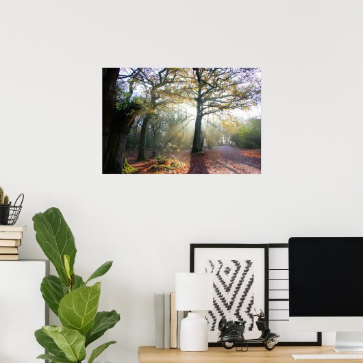 Forest Light Poster (Heimbüro)