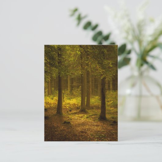 Forest Light Postkarte (Stehend Vorderseite)