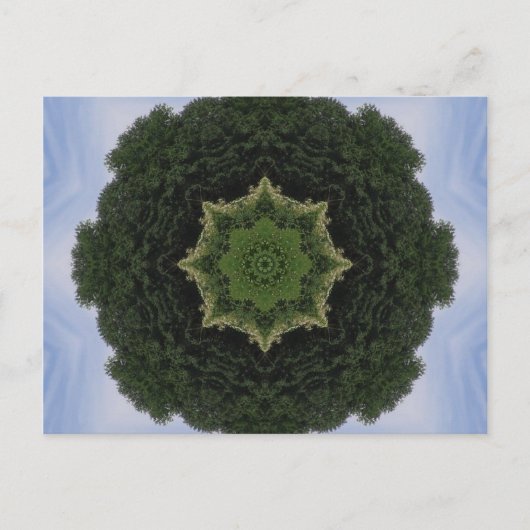 Forest Mandala Postkarte (Vorderseite)