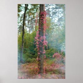 Forest mood  poster