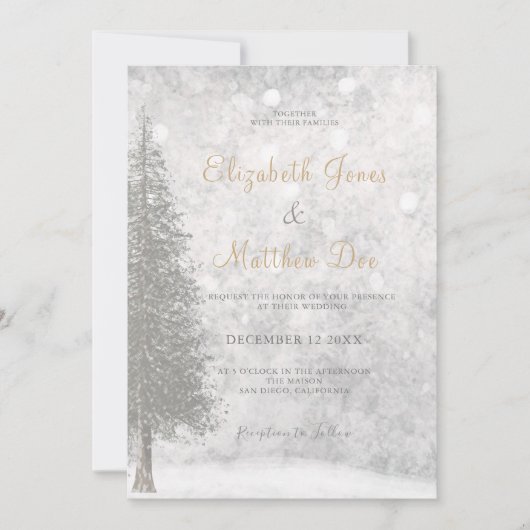 Forest Mountain Winter Pine Tree Hochzeit Einladung (Vorderseite)