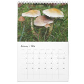 Forest Mushrooms Calendar Kalender (Feb 2026)