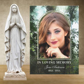 Forest Nature Foto Beileid Vielen Dank Karten