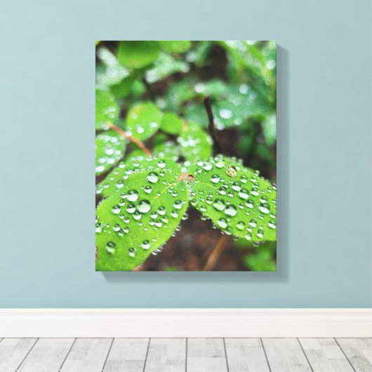 Forest Nature Leinwanddruck (Insitu (Holzboden))