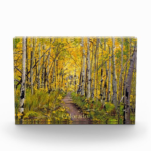 Forest of Aspen Trees Fotoblock (Vorderseite)