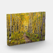 Forest of Aspen Trees Fotoblock (Links)