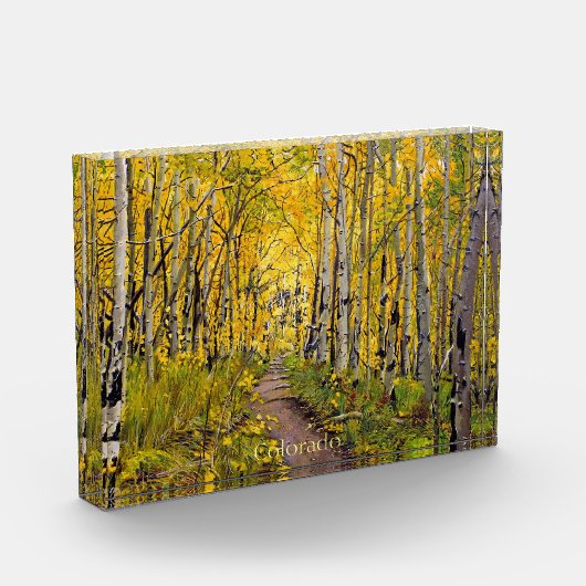 Forest of Aspen Trees Fotoblock (Links)