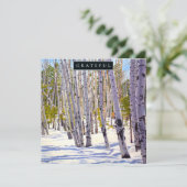Forest of Aspen Trees Holiday Card Feiertagskarte (Stehend Vorderseite)