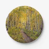 Forest of Aspen Trees Pappteller (Vorderseite)
