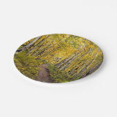 Forest of Aspen Trees Pappteller (Schrägansicht)