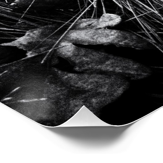 Forest on the mouse level poster (Ecke)