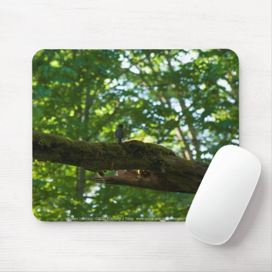 Forest Overpass Mousepad (Mit Mouse)