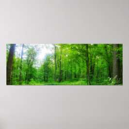 FOREST PANORAMA POSTER