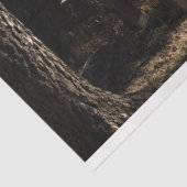 Forest Park Bench Decoupage Tissue Paper Seidenpapier (Ausschnitt)