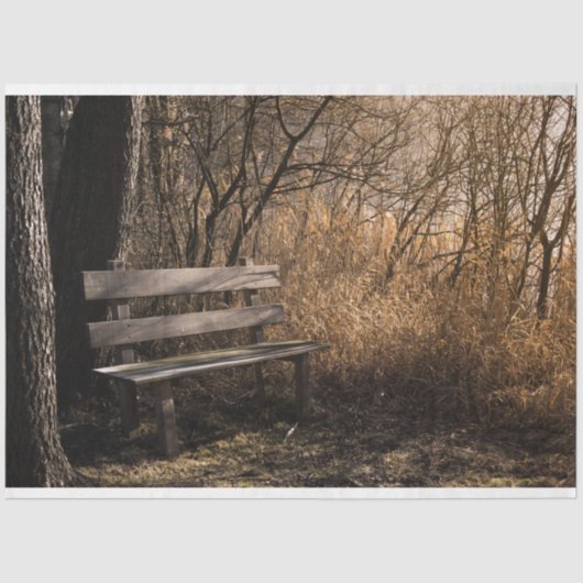 Forest Park Bench Decoupage Tissue Paper Seidenpapier (Vorderseite)